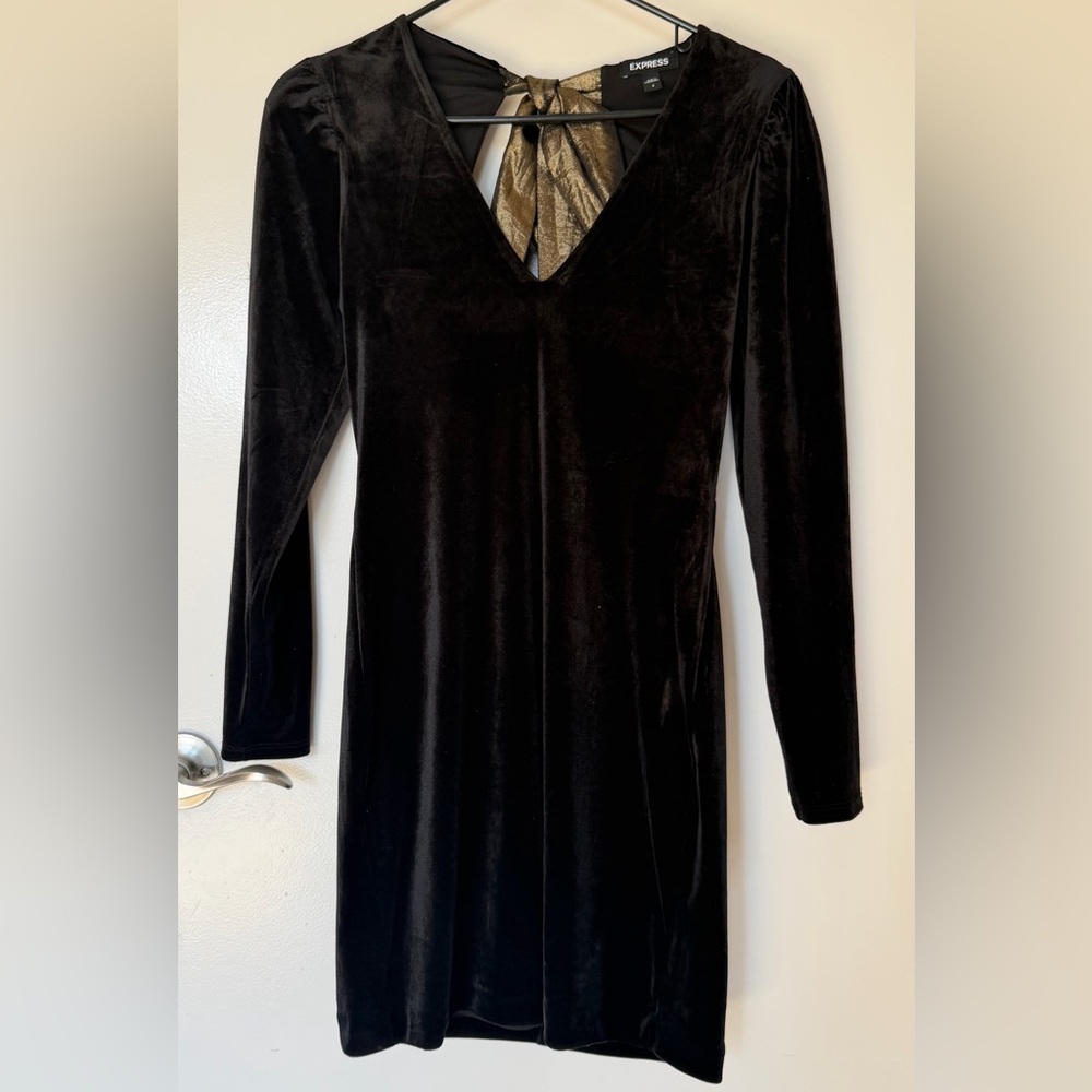 Express Velvet Bow Dress